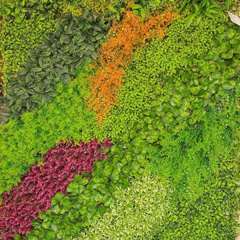 TAPPETO ERBOSO DA APPENDERE